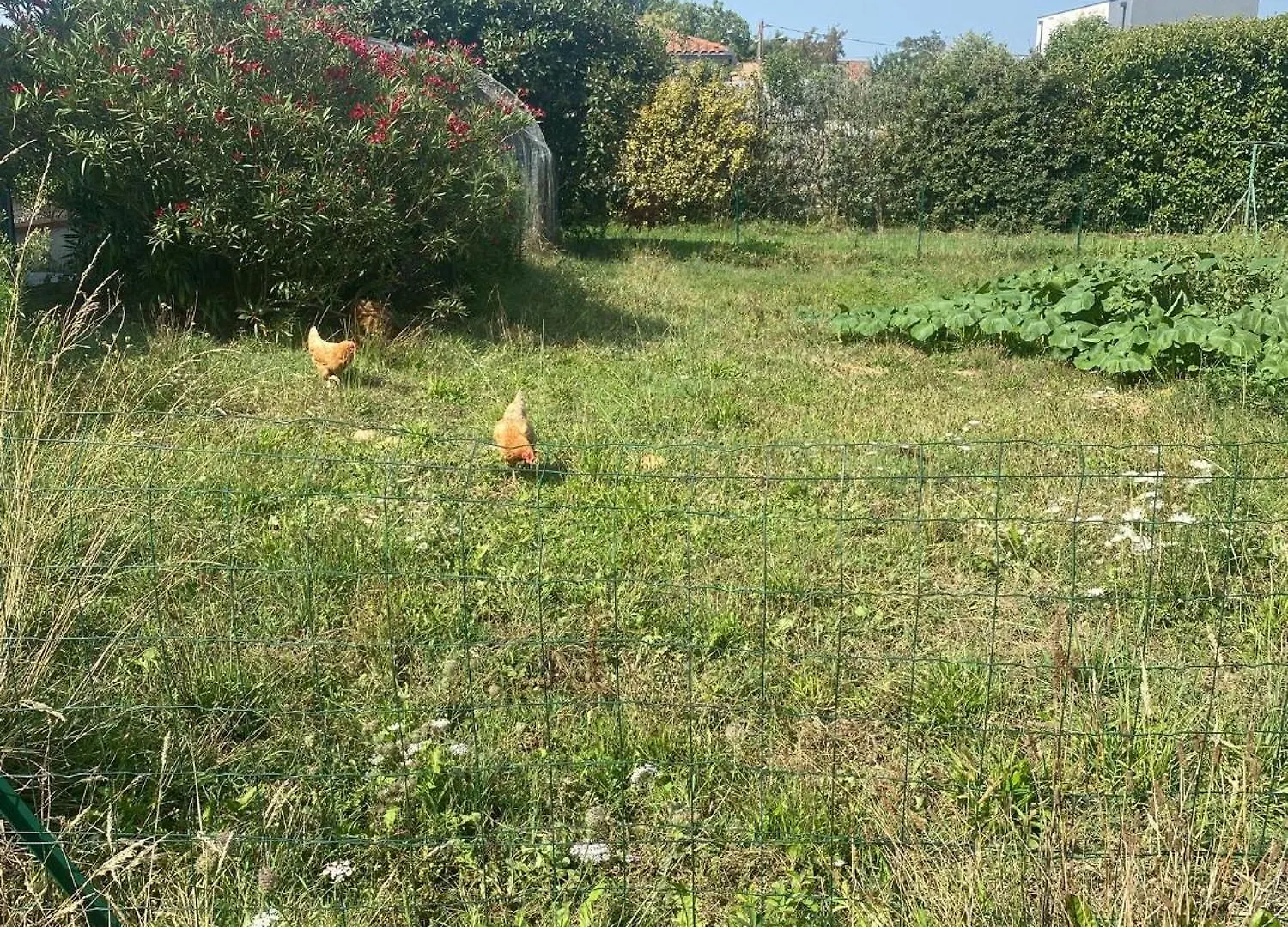 Maison Avec Piscine, Ker Animheart Carbonne 0*,  フランス